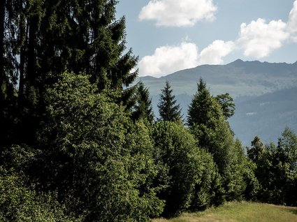 Appartements im Zillertal mit Herz Appartements im Zillertal mit Herz