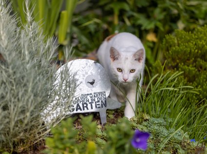 Appartements im Zillertal mit Herz Appartements im Zillertal mit Herz