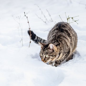 Holiday apartment in Zillertal with panoramic views Holiday apartment in Zillertal with panoramic views