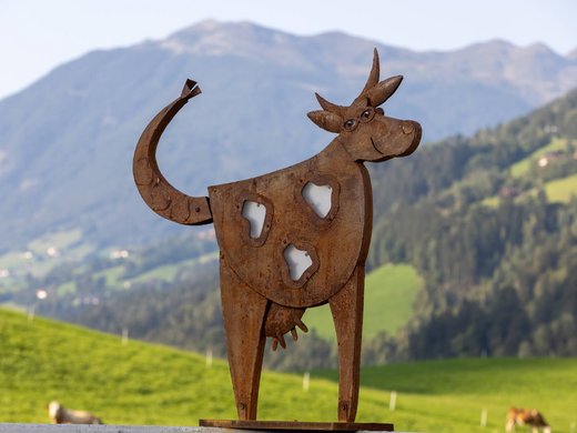 Appartements im Zillertal mit Herz Appartements im Zillertal mit Herz